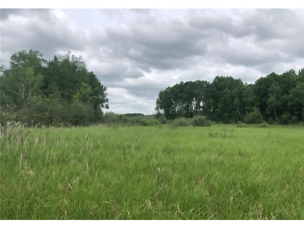 18395 Cottingham Drive Bullard Twp MN 56479 7062856 image50