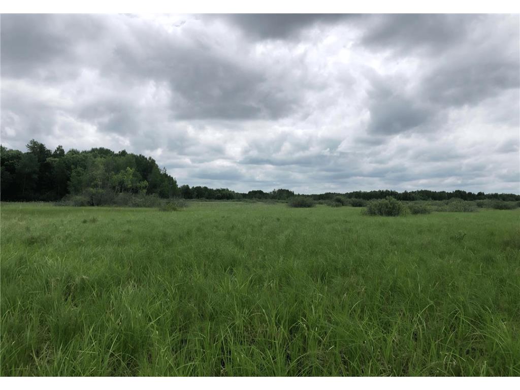 18395 Cottingham Drive Bullard Twp MN 56479 7062856 image54