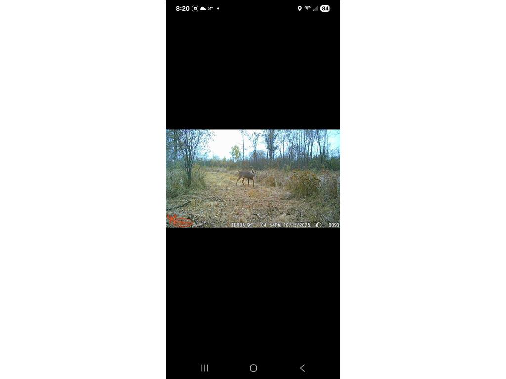 18395 Cottingham Drive Bullard Twp MN 56479 7062856 image64