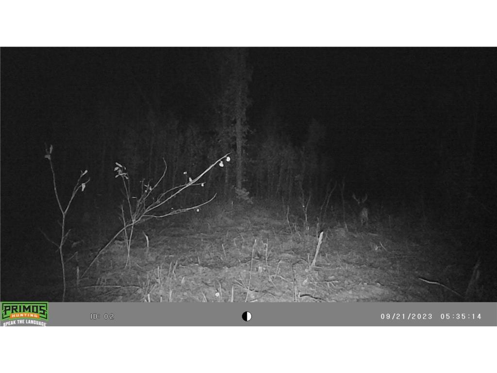 18395 Cottingham Drive Bullard Twp MN 56479 7062856 image66