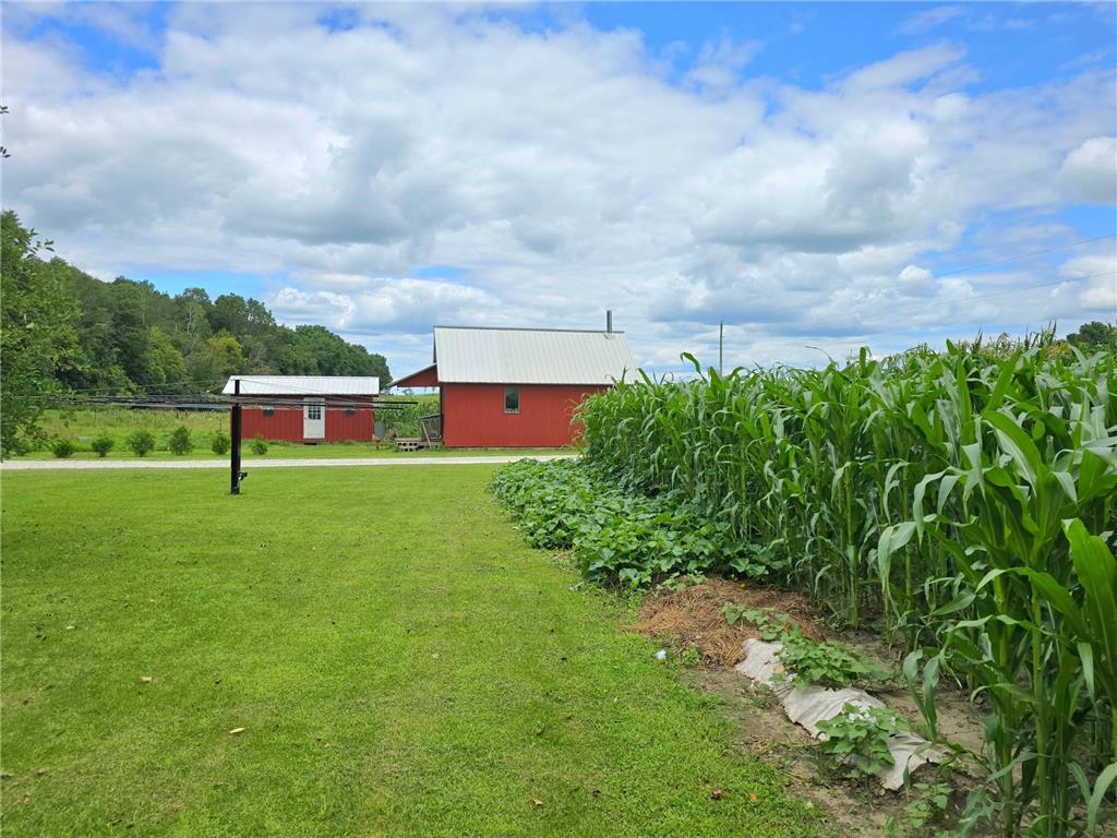 18395 Game Road Preston Twp MN 55965 7114518 image33