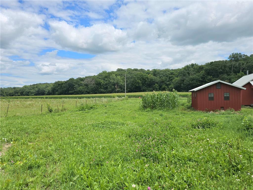 18395 Game Road Preston Twp MN 55965 7114518 image48