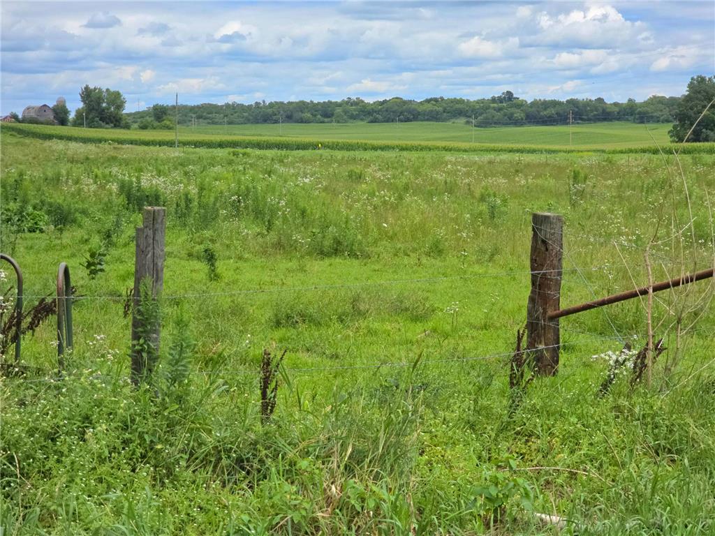 18395 Game Road Preston Twp MN 55965 7114518 image51
