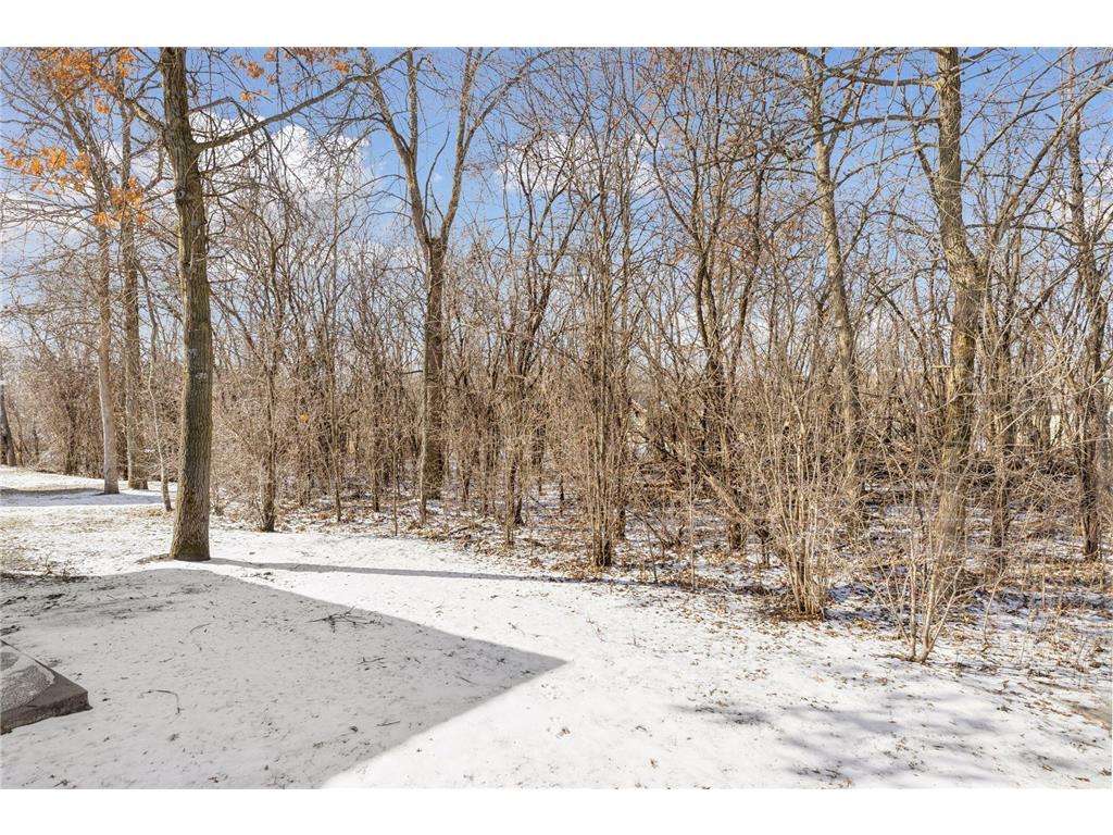 18400 Xerxes Street NW Elk River MN 55330 7026835 image30