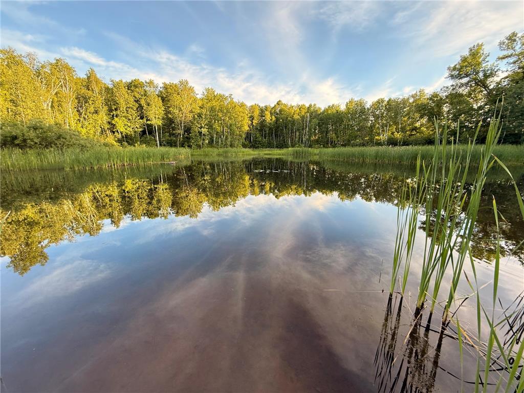 18405 CR-2 Brainerd MN 56401 7100065 image21
