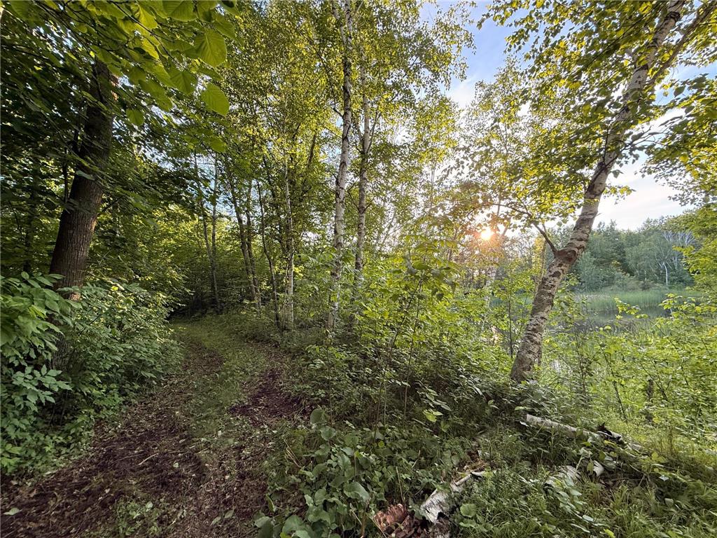 18405 CR-2 Brainerd MN 56401 7100065 image27