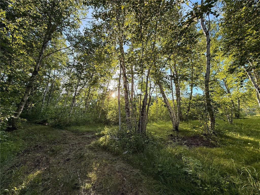18405 CR-2 Brainerd MN 56401 7100065 image28