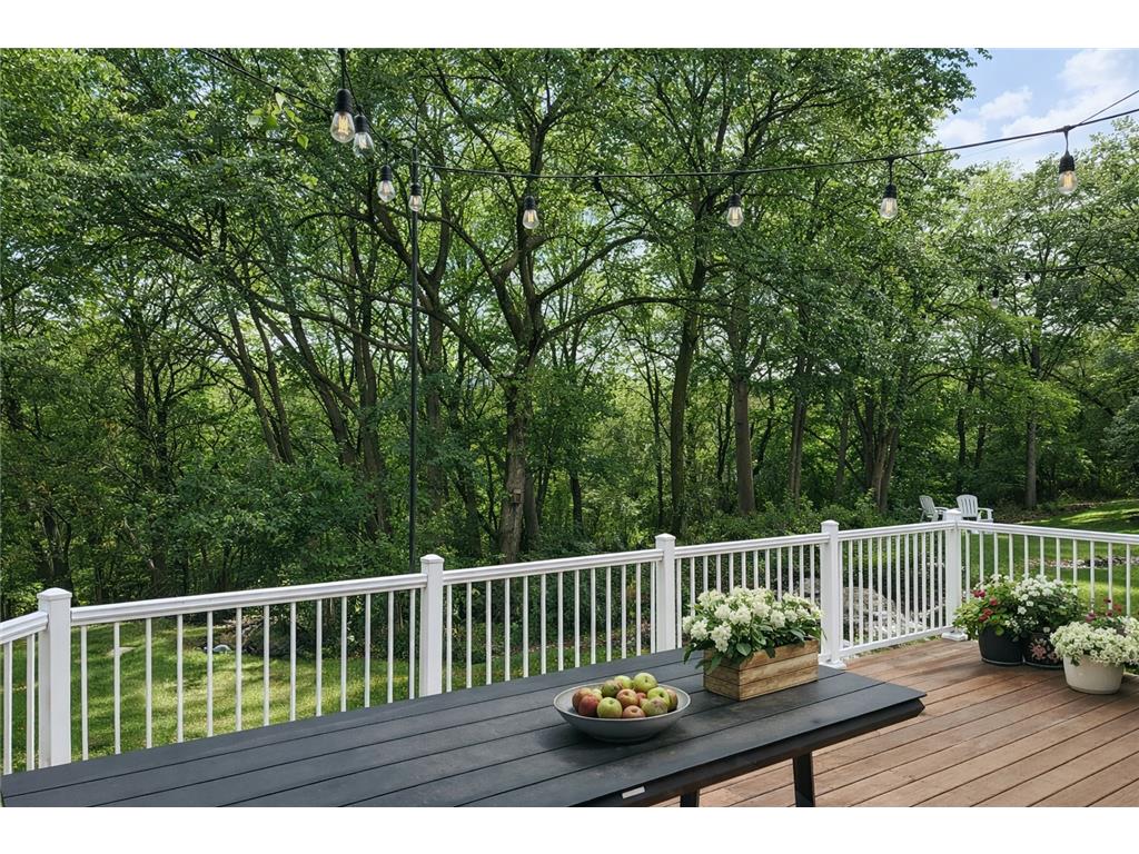18412 Pathfinder Drive Eden Prairie MN 55347 7051326 image10