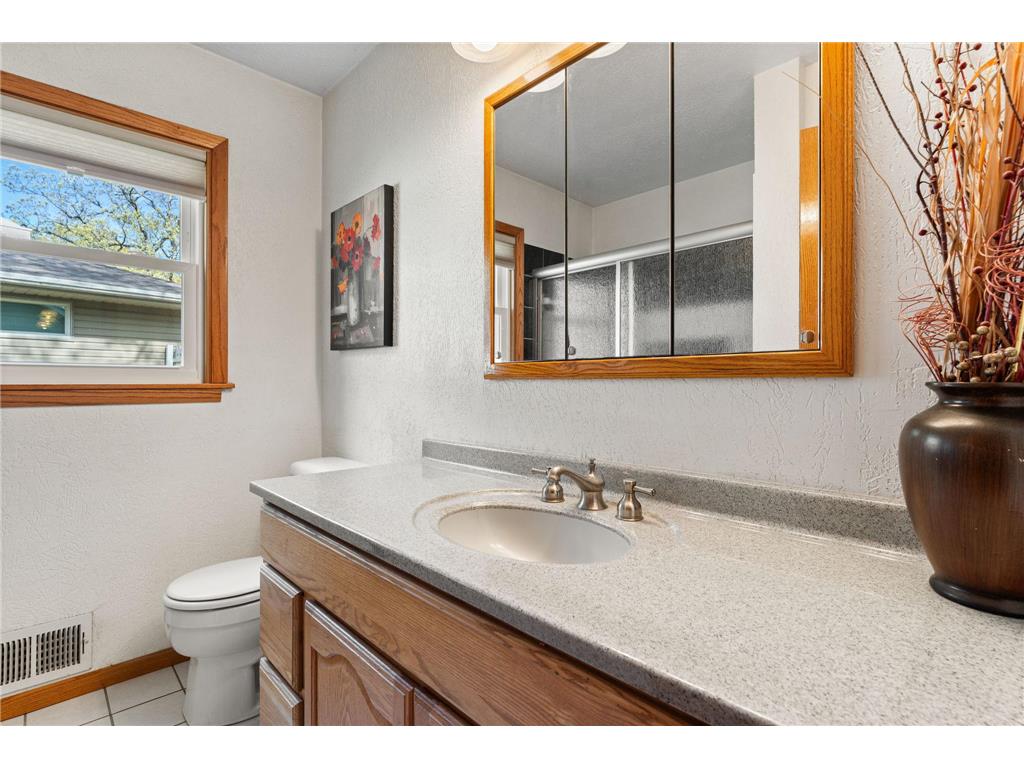 18417 Lakeview Point Drive NE East Bethel MN 55092 - Coon 7100903 image37