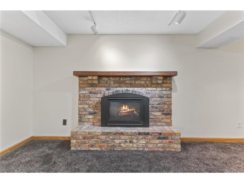 18420 29th Avenue N Plymouth MN 55447 7033746 image52