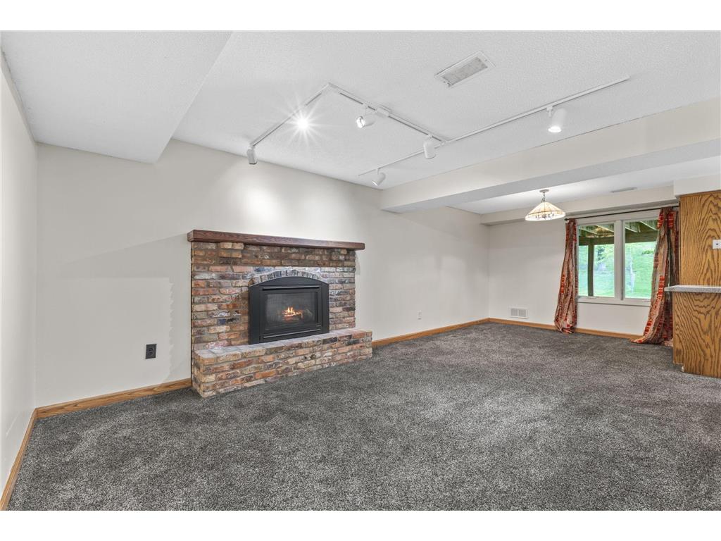 18420 29th Avenue N Plymouth MN 55447 7033746 image53