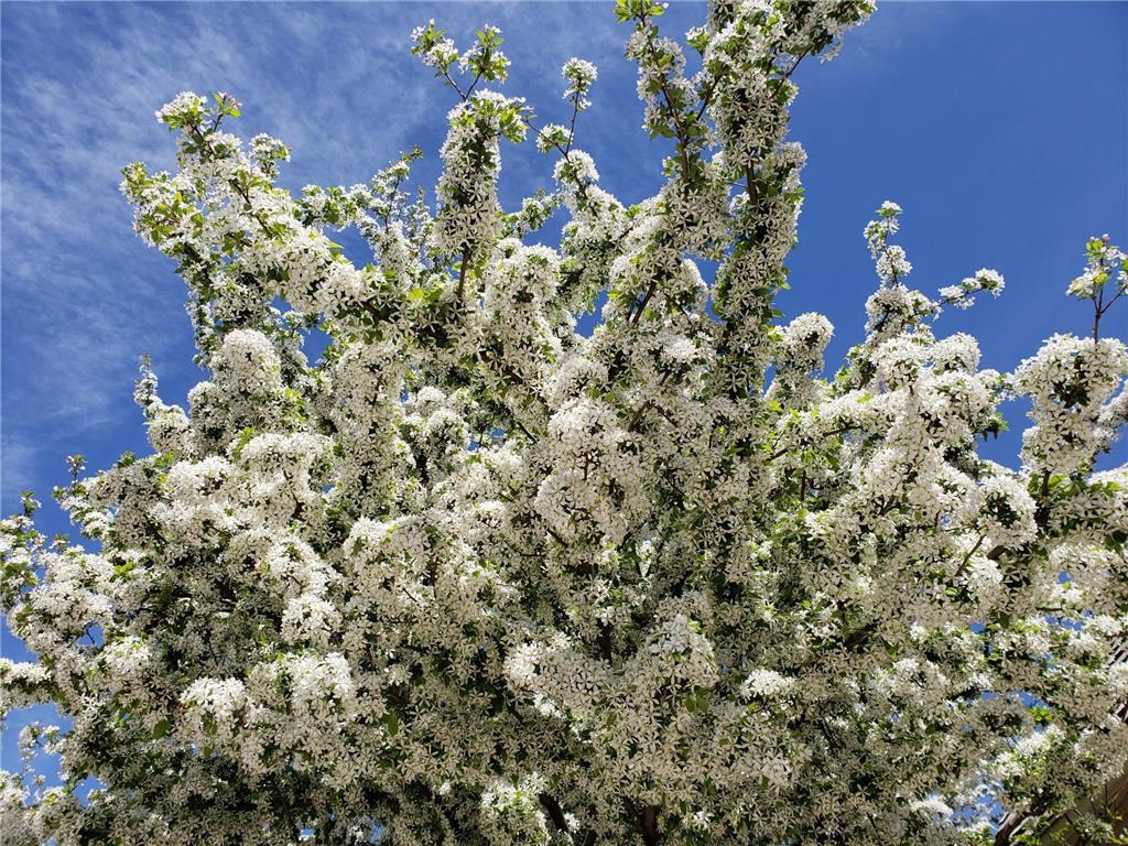 18434 Bearpath Trail Eden Prairie MN 55347 6821237 image105