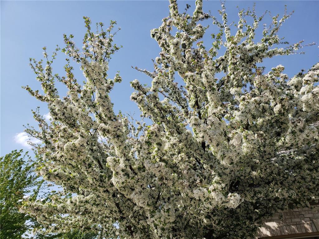 18434 Bearpath Trail Eden Prairie MN 55347 6821237 image106