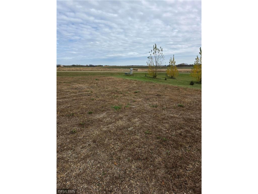 18443 Basswood Beach Drive NW Millerville Twp MN 56326 - Aaron 6813860 image6