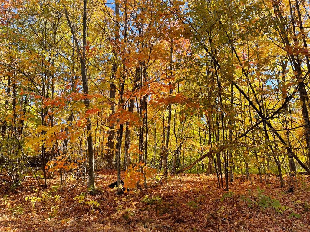 18458 327th Avenue Isle MN 56342 - Mille Lacs Lake 6805612 image27