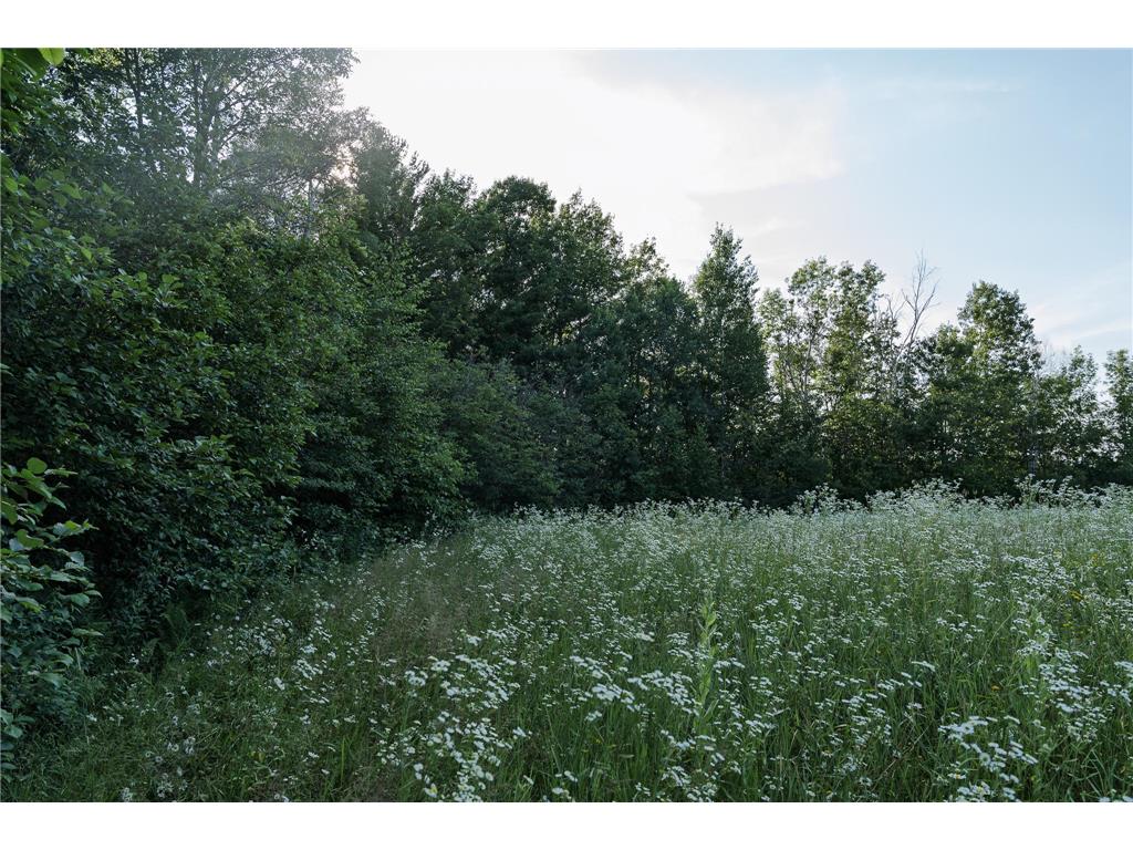 18467 Vineland Road Kathio Twp MN 56359 7069490 image32