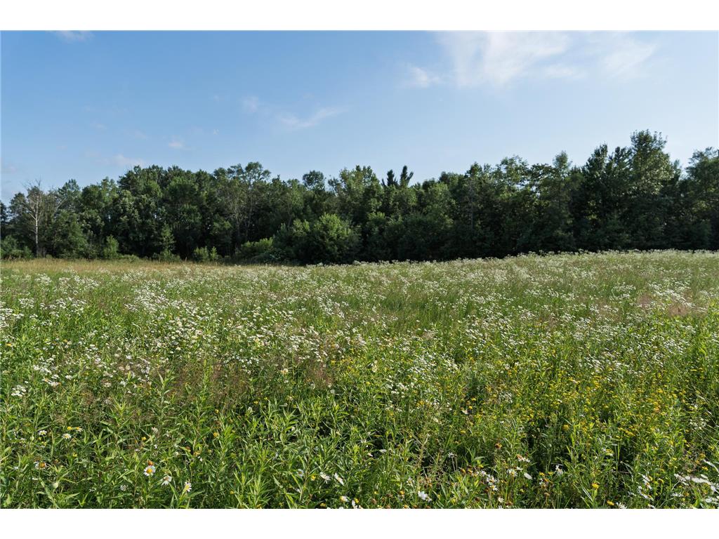 18467 Vineland Road Kathio Twp MN 56359 7069490 image36