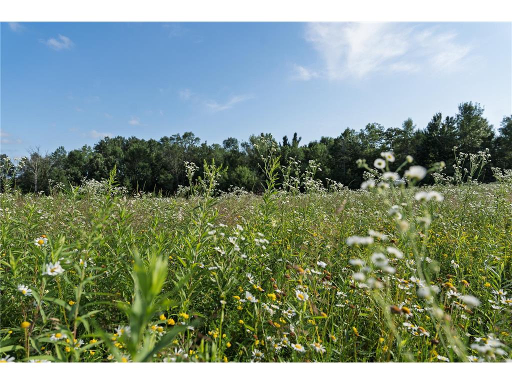 18467 Vineland Road Kathio Twp MN 56359 7069490 image38