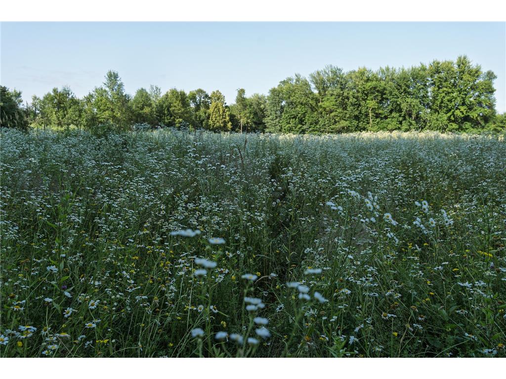 18467 Vineland Road Kathio Twp MN 56359 7069490 image40