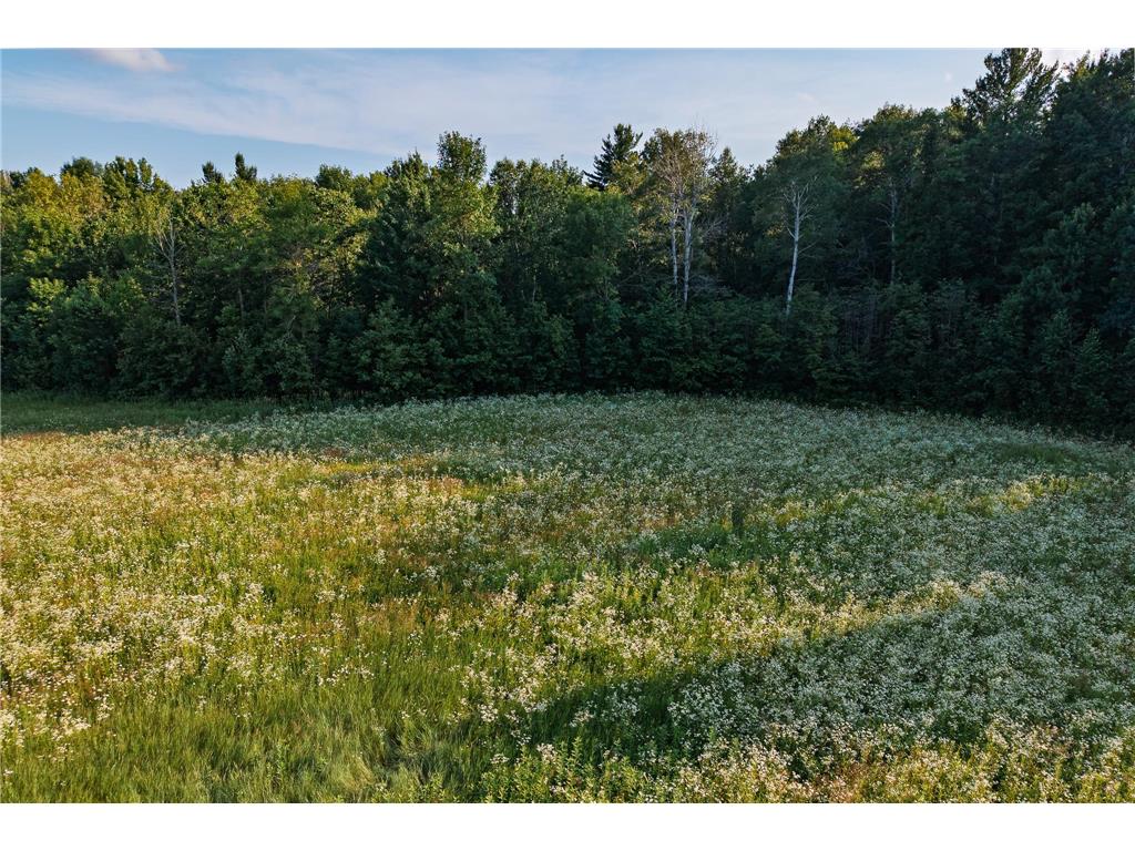 18467 Vineland Road Kathio Twp MN 56359 7069490 image41