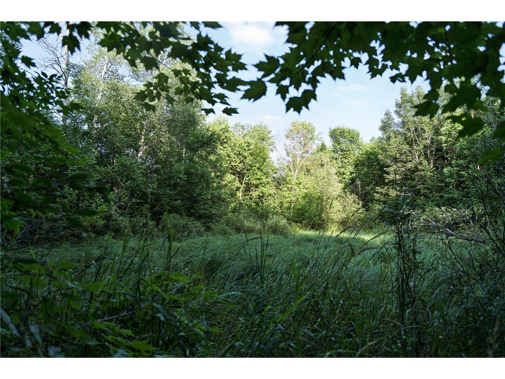18467 Vineland Road Kathio Twp MN 56359 7069490 image43
