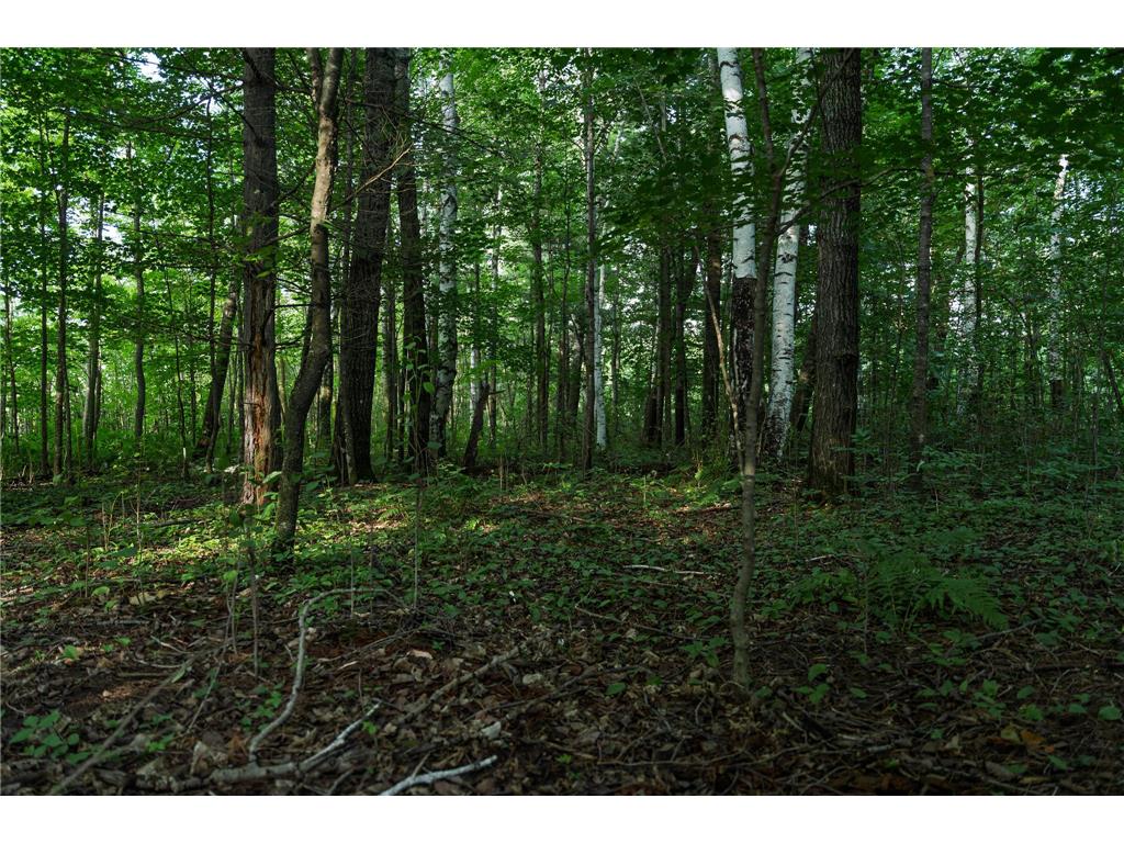 18467 Vineland Road Kathio Twp MN 56359 7069490 image9