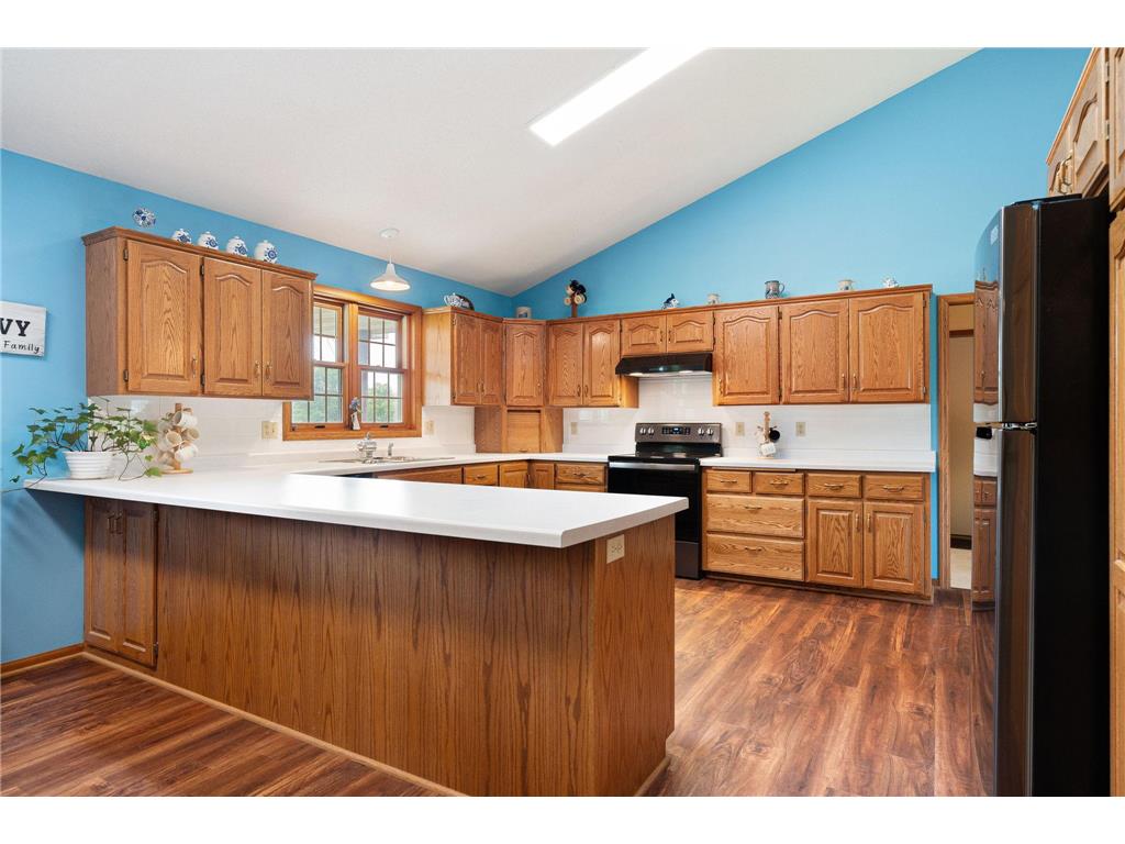 18486 625th Street Wasioja Twp MN 55927 7088239 image26
