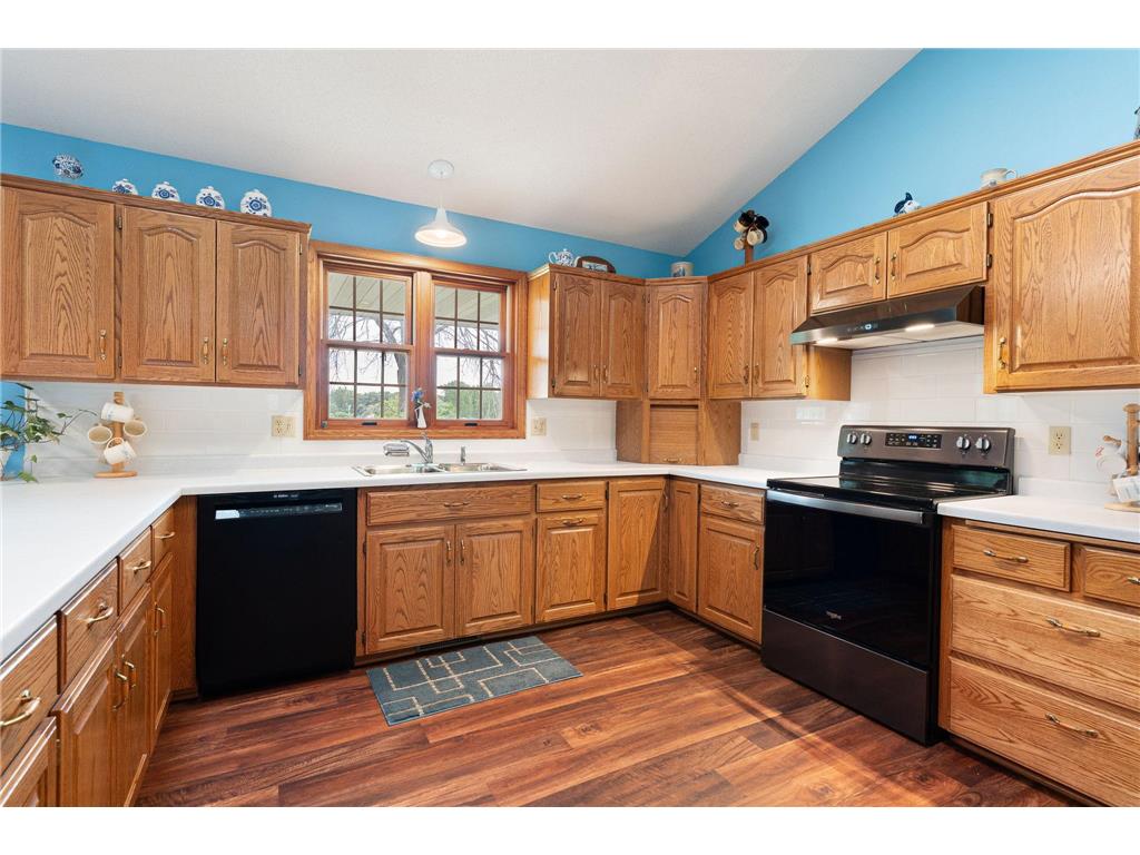 18486 625th Street Wasioja Twp MN 55927 7088239 image27