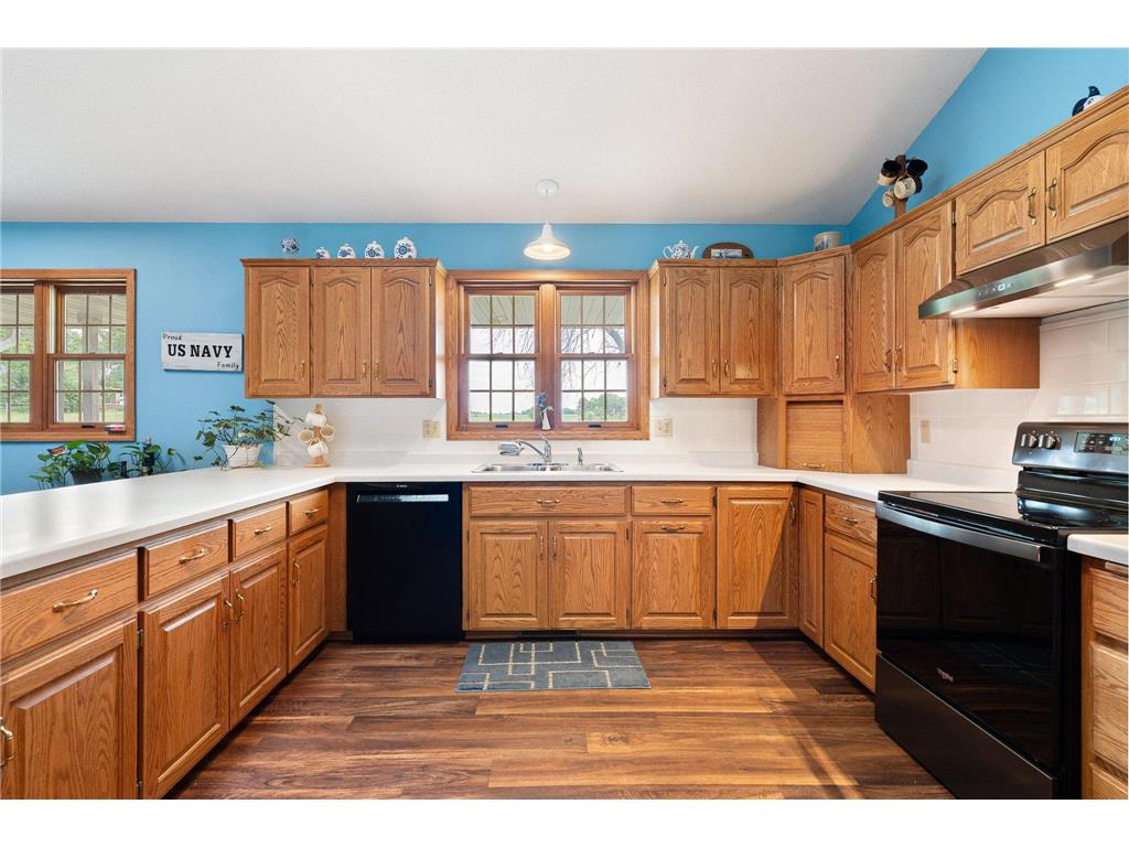 18486 625th Street Wasioja Twp MN 55927 7088239 image28