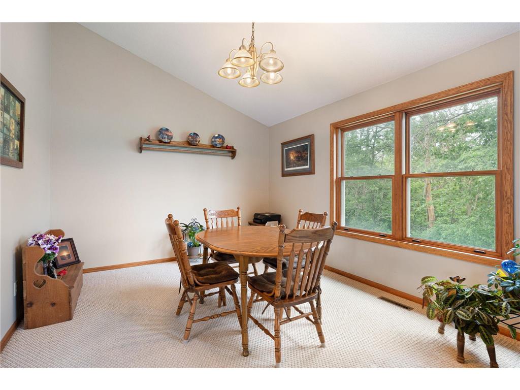 18486 625th Street Wasioja Twp MN 55927 7088239 image32