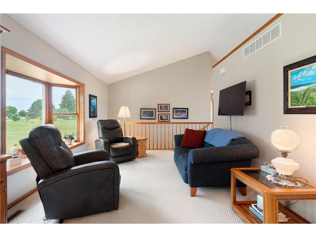 18486 625th Street Wasioja Twp MN 55927 7088239 image34