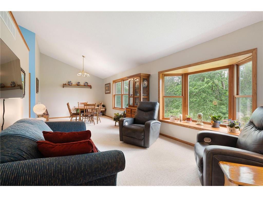 18486 625th Street Wasioja Twp MN 55927 7088239 image36