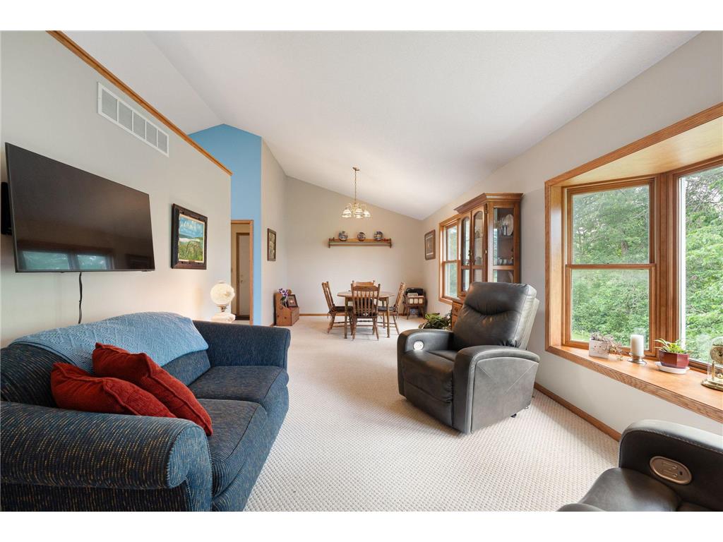 18486 625th Street Wasioja Twp MN 55927 7088239 image37