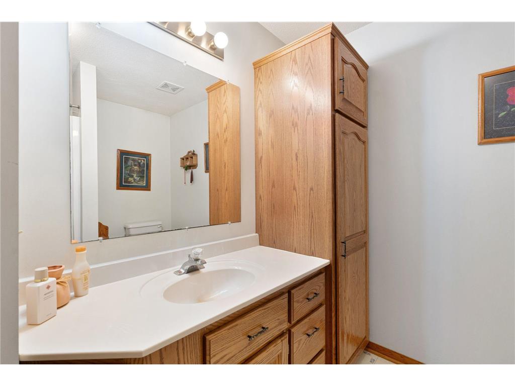 18486 625th Street Wasioja Twp MN 55927 7088239 image41