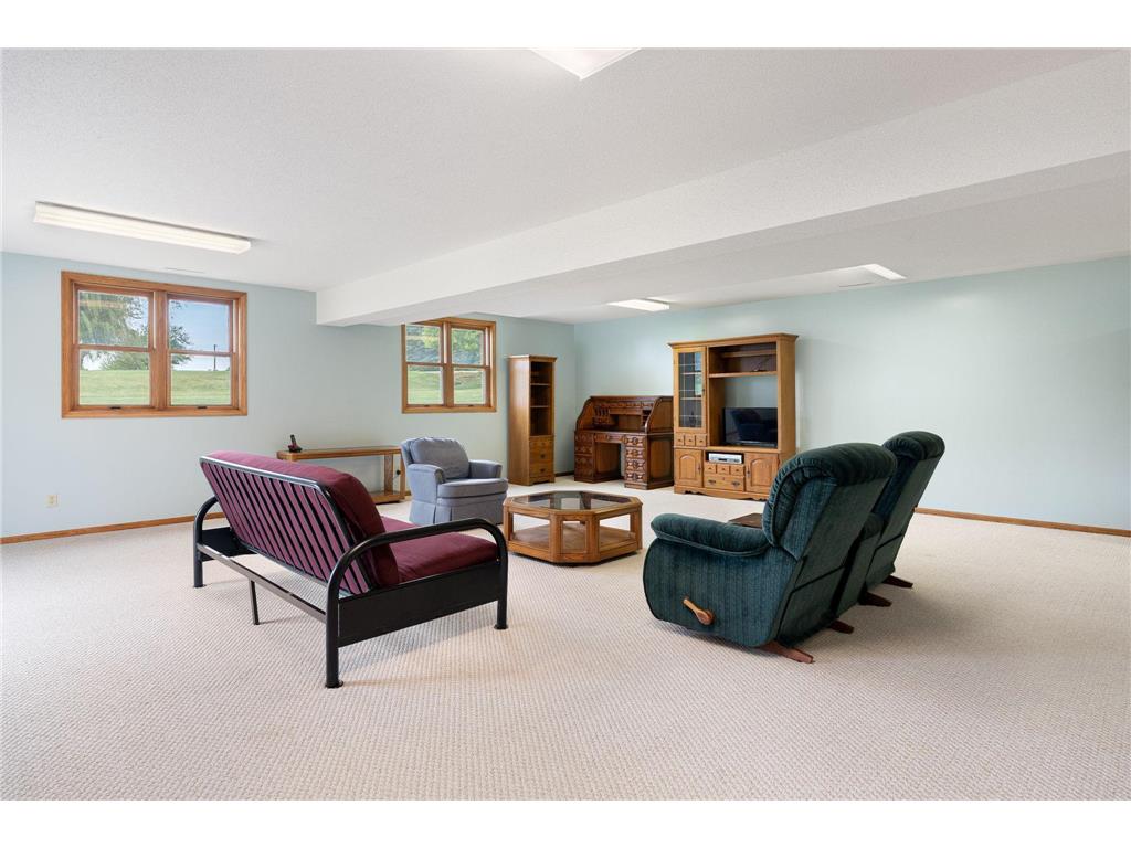 18486 625th Street Wasioja Twp MN 55927 7088239 image44