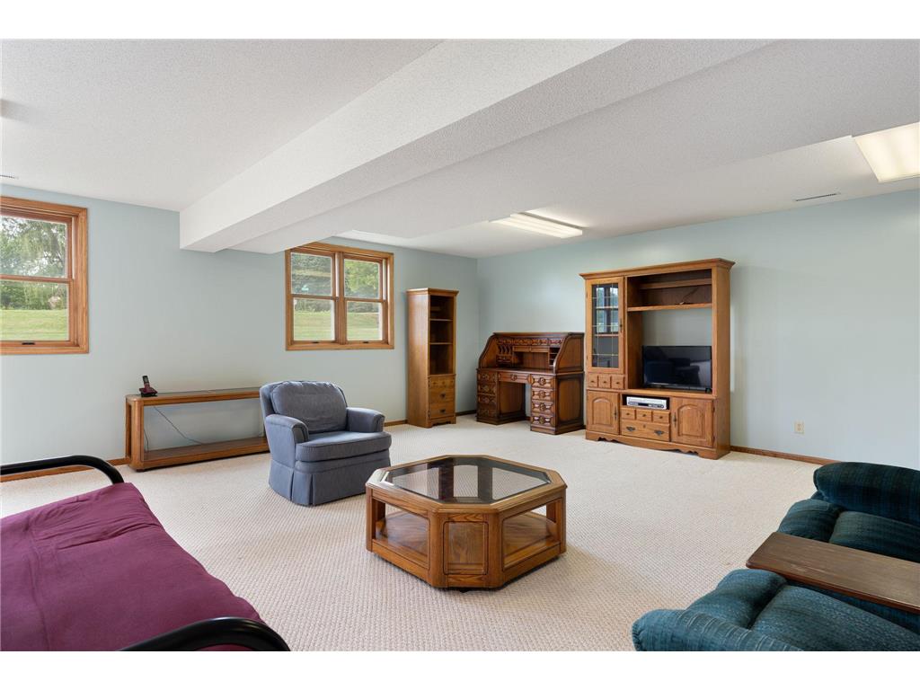 18486 625th Street Wasioja Twp MN 55927 7088239 image45