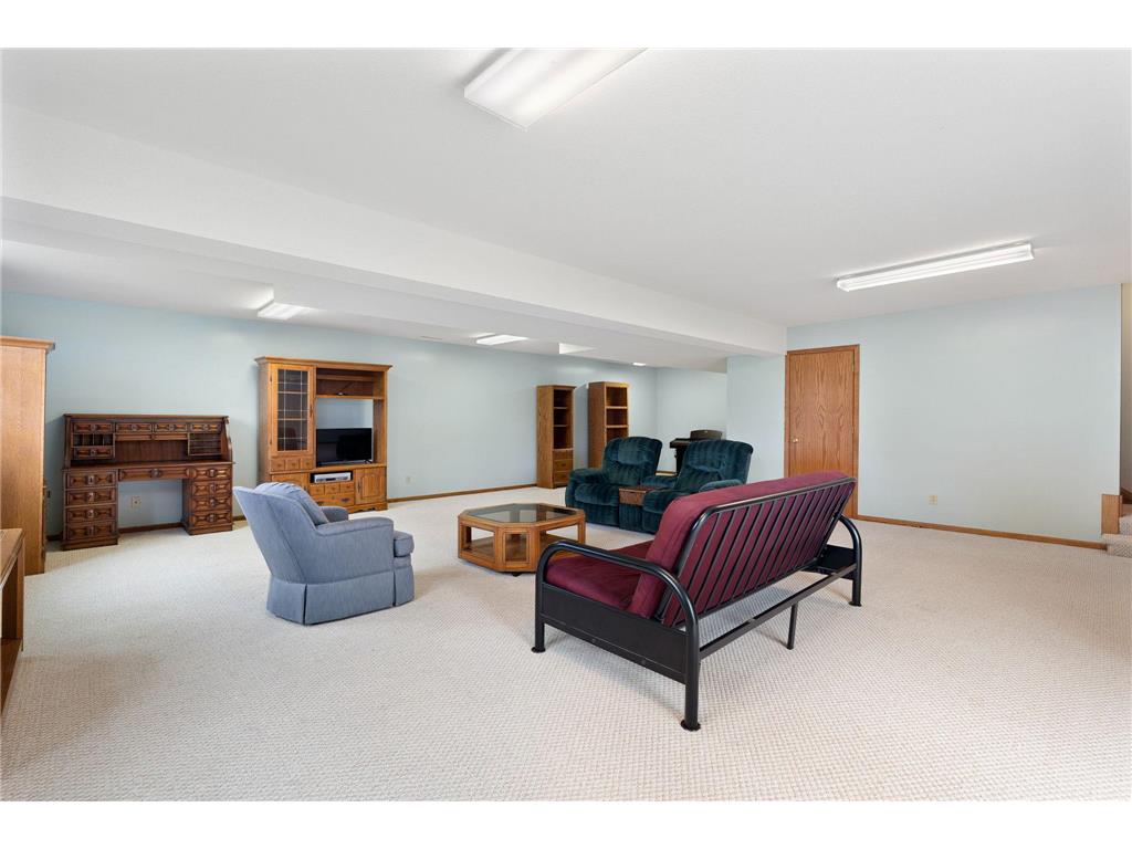 18486 625th Street Wasioja Twp MN 55927 7088239 image46