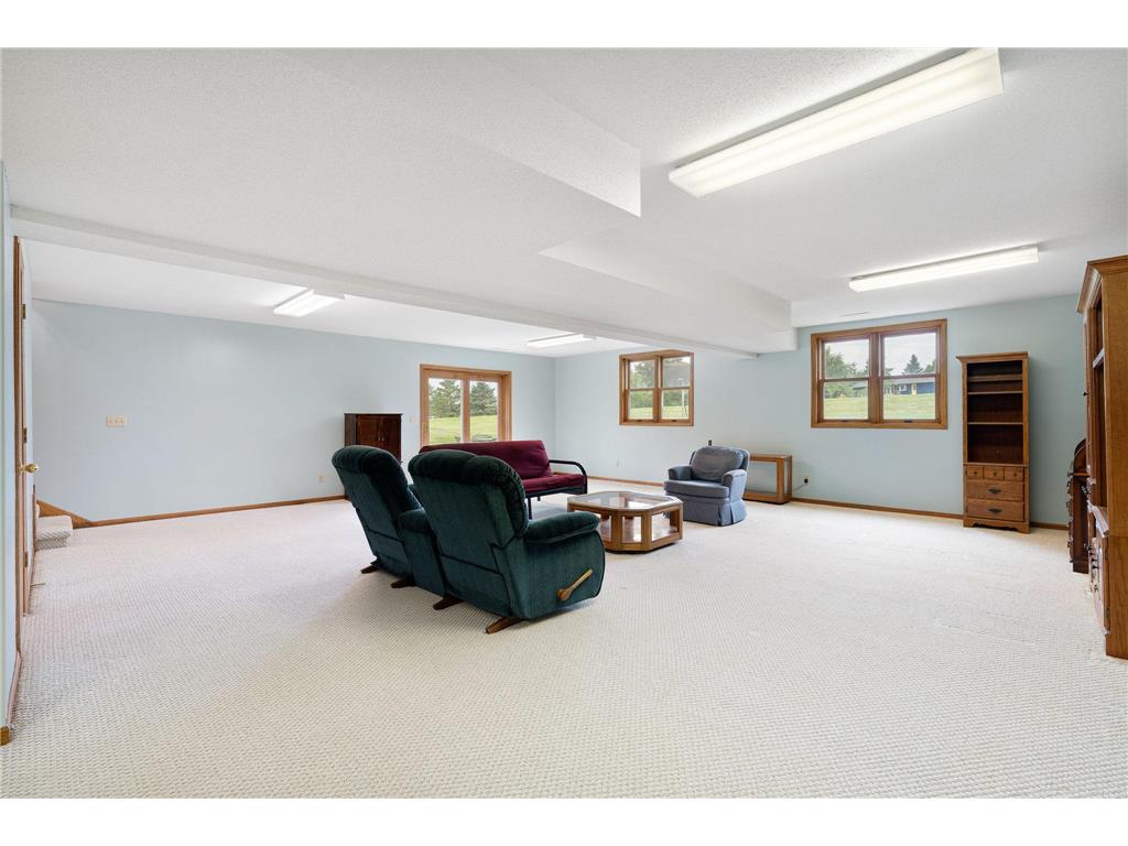 18486 625th Street Wasioja Twp MN 55927 7088239 image49