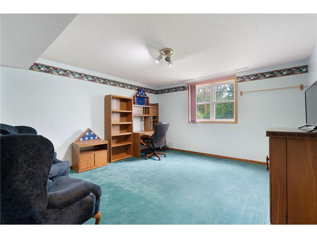 18486 625th Street Wasioja Twp MN 55927 7088239 image54
