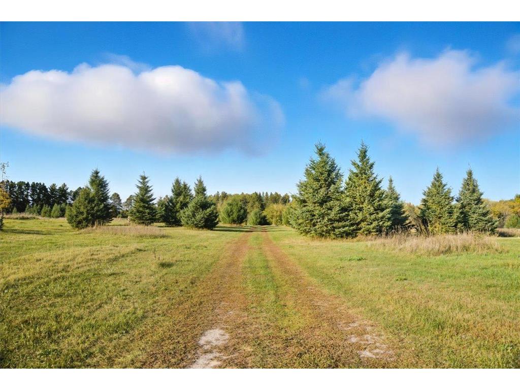 185 Crow Wing Lake Drive NE Akeley MN 56433 - Crow Wing - 11th 6801446 image19