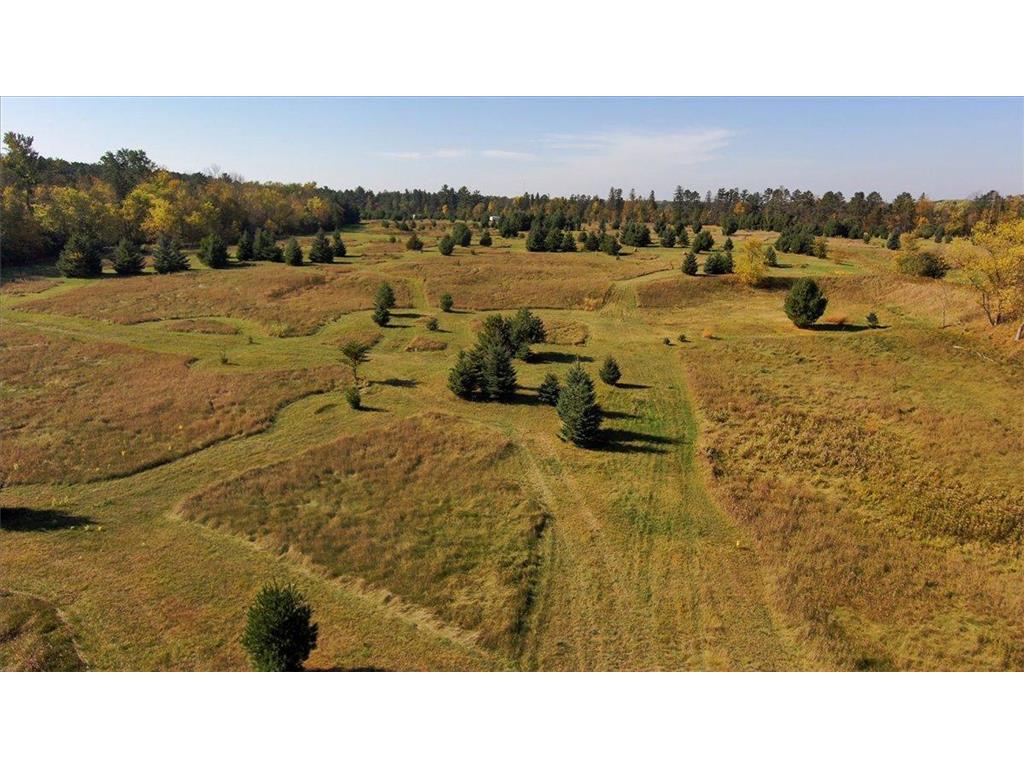 185 Crow Wing Lake Drive NE Akeley MN 56433 - Crow Wing - 11th 6801446 image9