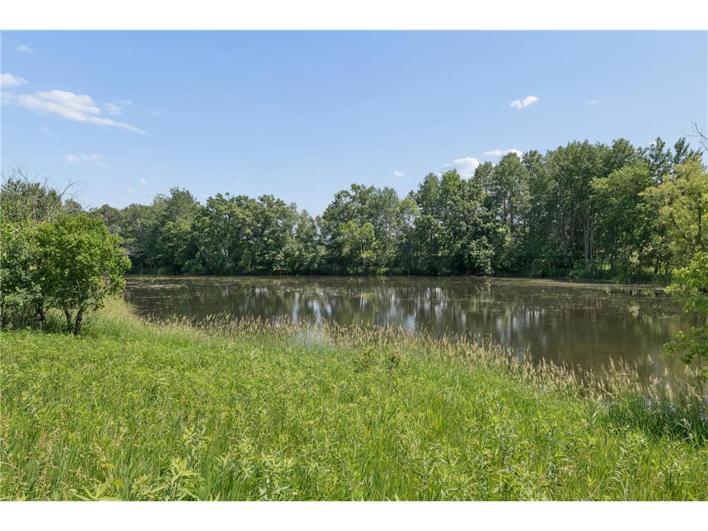 1850 357th Avenue NE Cambridge MN 55008 7085044 image9