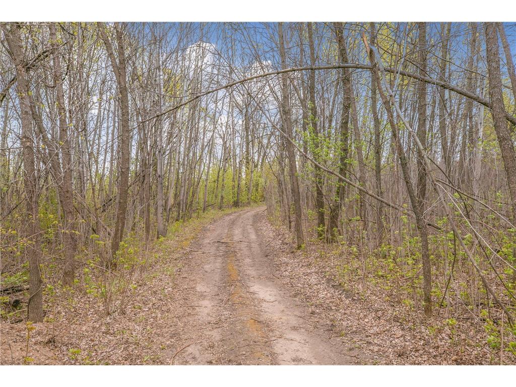 1850 Beauty Point Road SW Moe Twp MN 56327 - Lobster Lake 7069537 image85