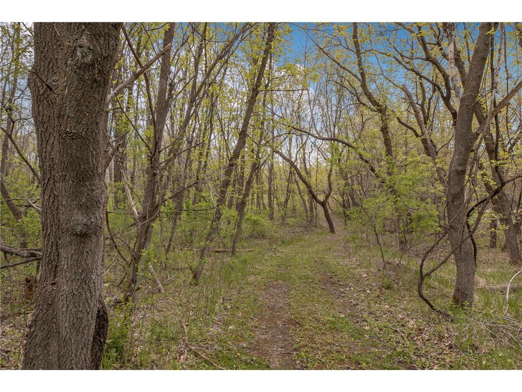 1850 Beauty Point Road SW Moe Twp MN 56327 - Lobster Lake 7069537 image86