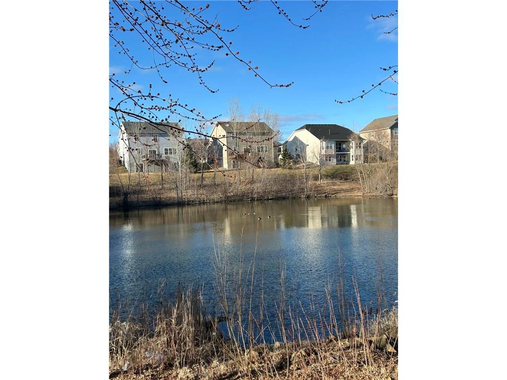 1851 Spring Creek Drive Carver MN 55315 7063493 image33