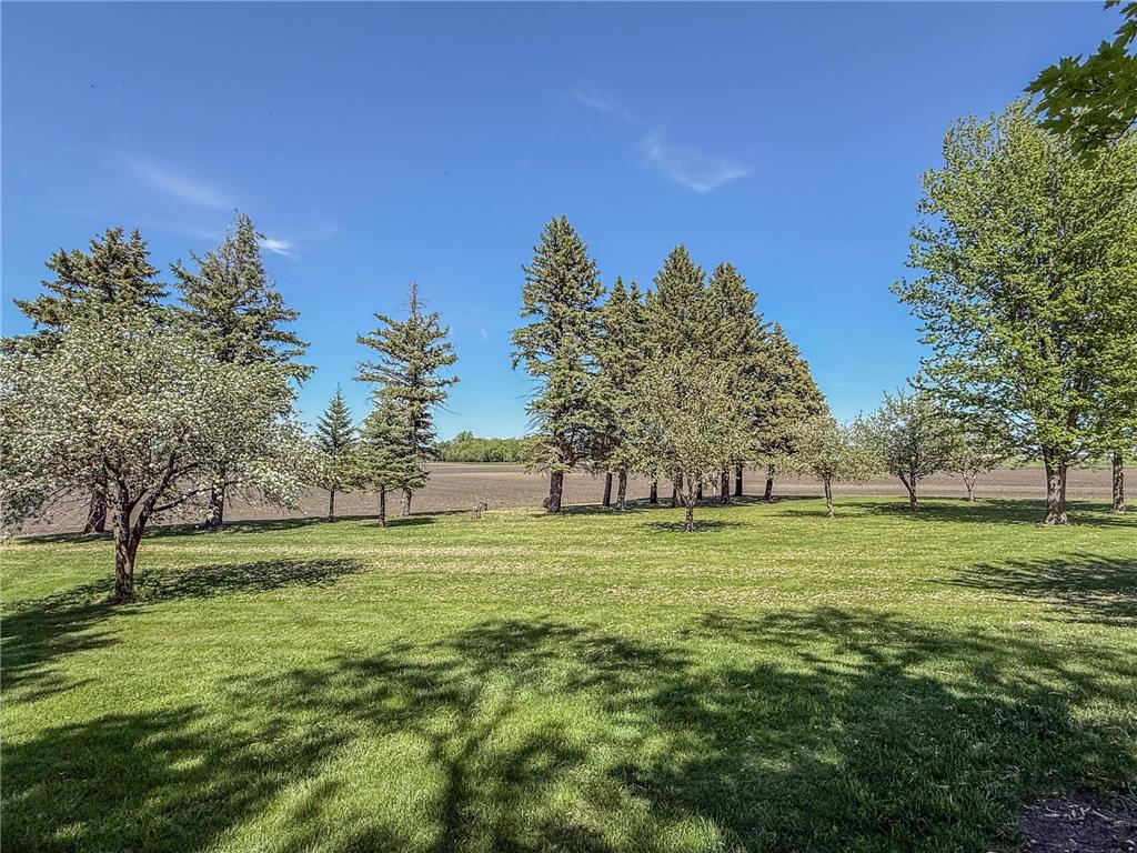 18522 15th Street SW Roseland Twp MN 56216 7039864 image88