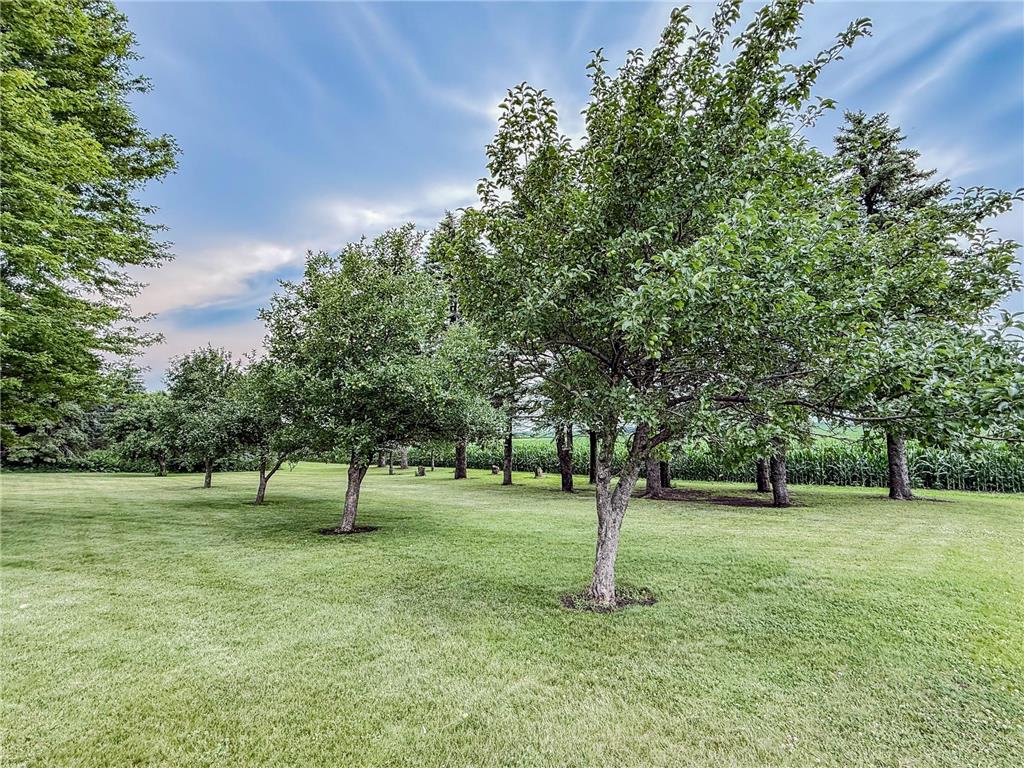 18522 15th Street SW Roseland Twp MN 56216 7103475 image75
