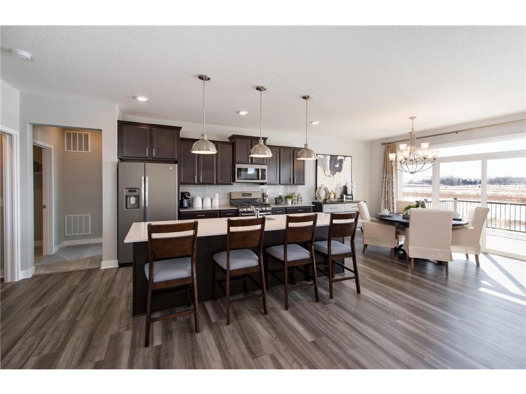 18530 Hamel Drive Lakeville MN 55044 6267236 image1