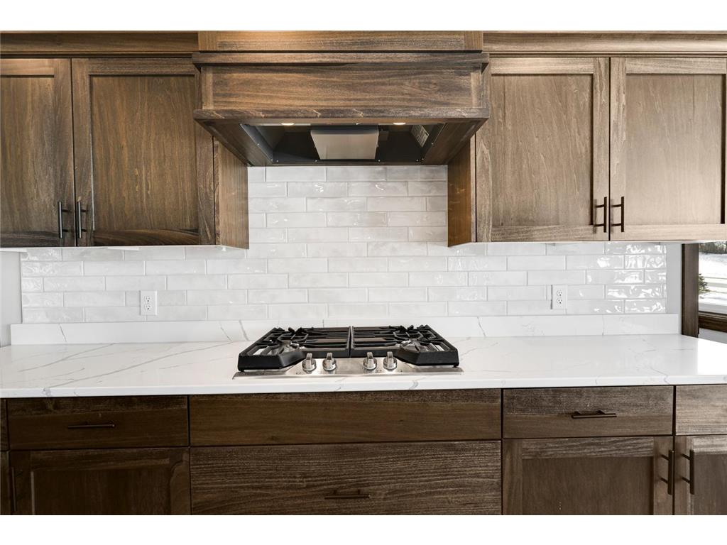 18567 Hidden Way Lakeville MN 55044 6823868 image16