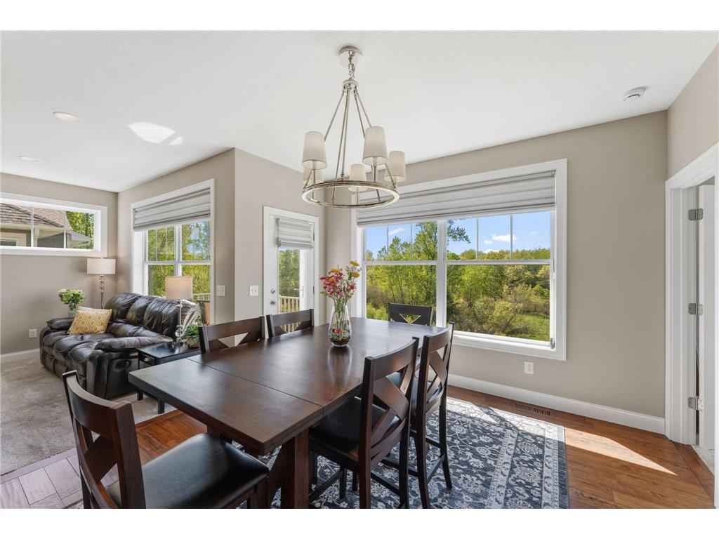 18573 Joplin Avenue Lakeville MN 55044 7072135 image13